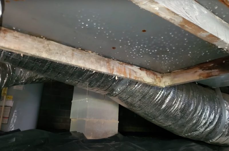 Mold and moisture damage on a basement wall from poor drainage