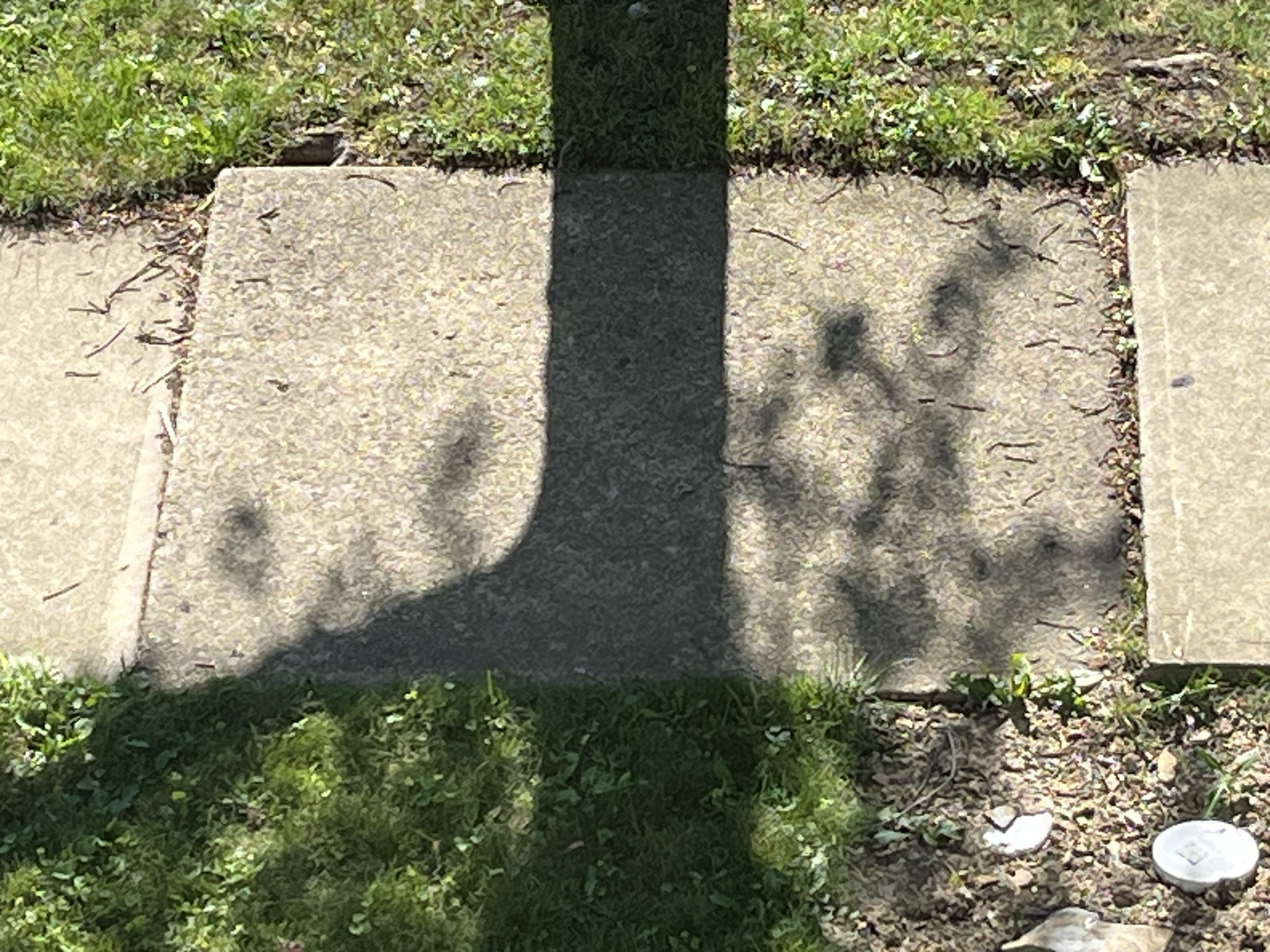 Settled pool deck concrete slab tilting away from the pool edge