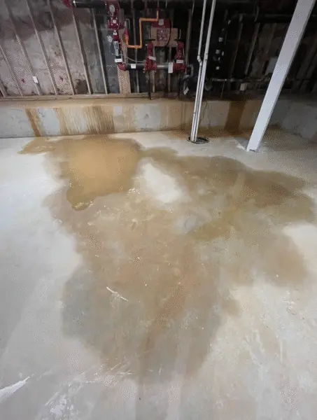 Water intrusion and standing water in basement floor indicating drainage or waterproofing failure